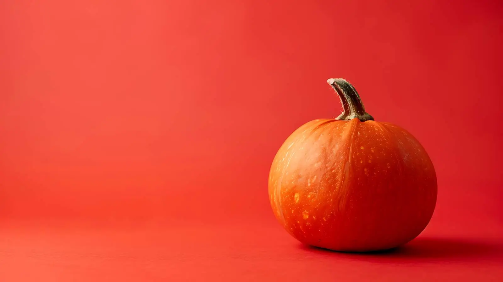 Decorative Pumpkin on Red Orange Background – free fall season image from Dotvec