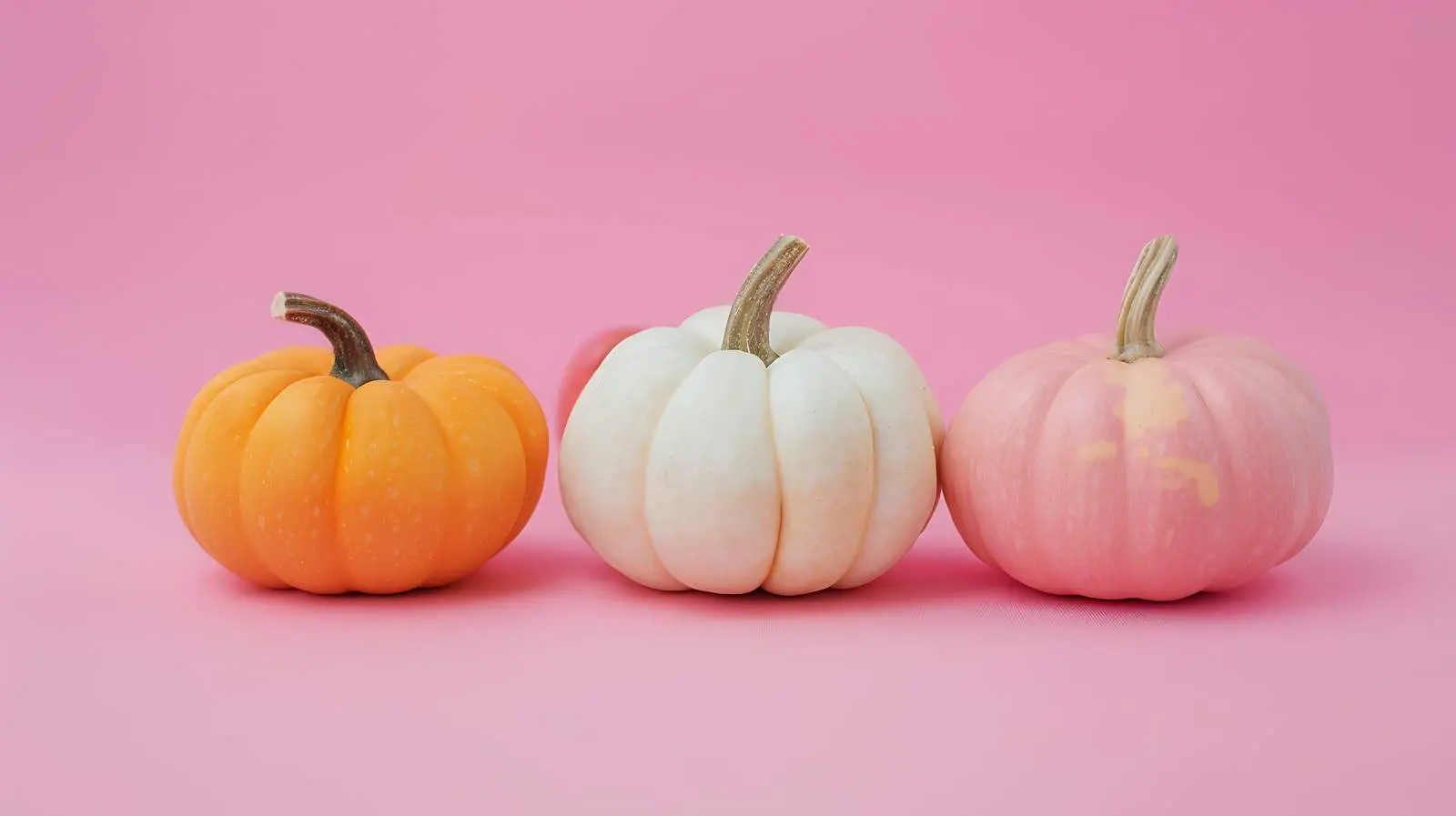 Small Decorative Pumpkins on Light Blue Background — free download from Dotvec