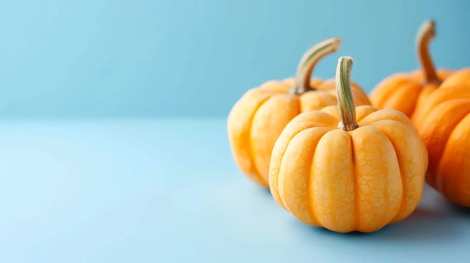 Decorative Pumpkins on Pink Background for Autumn – free vine image from Dotvec