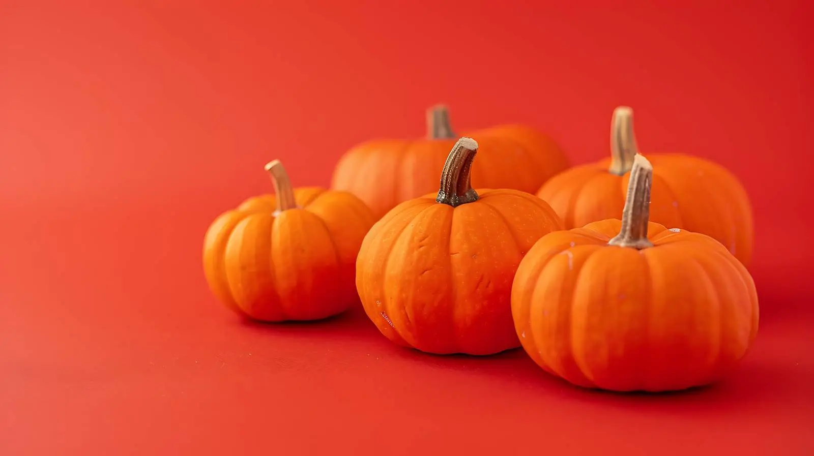 Decorative Pumpkins on Autumn Background — free download from Dotvec