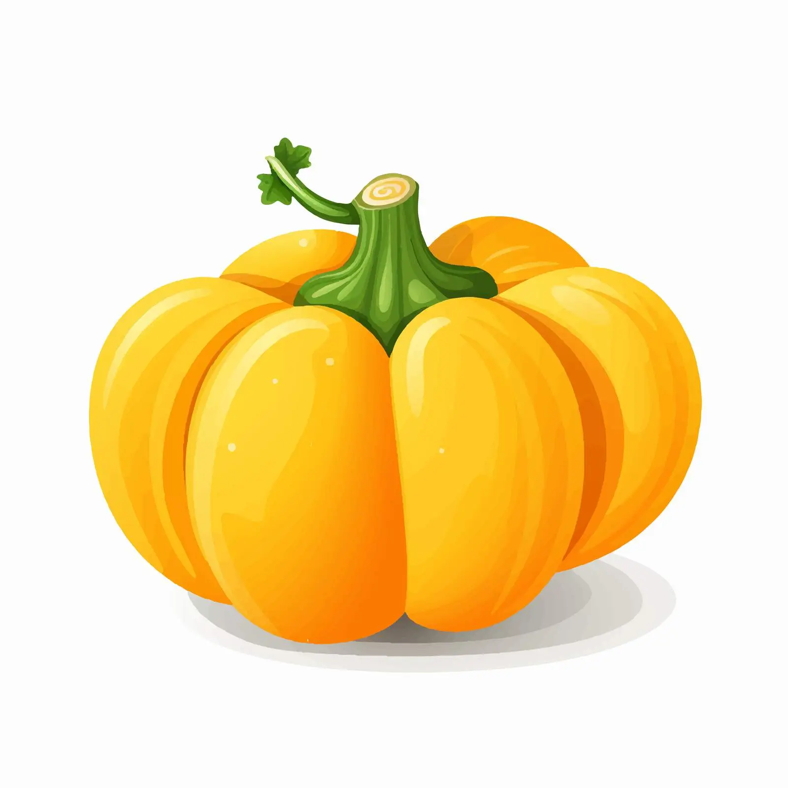 Whole Orange Pattypan Squash Vegetable Image — free download from Dotvec