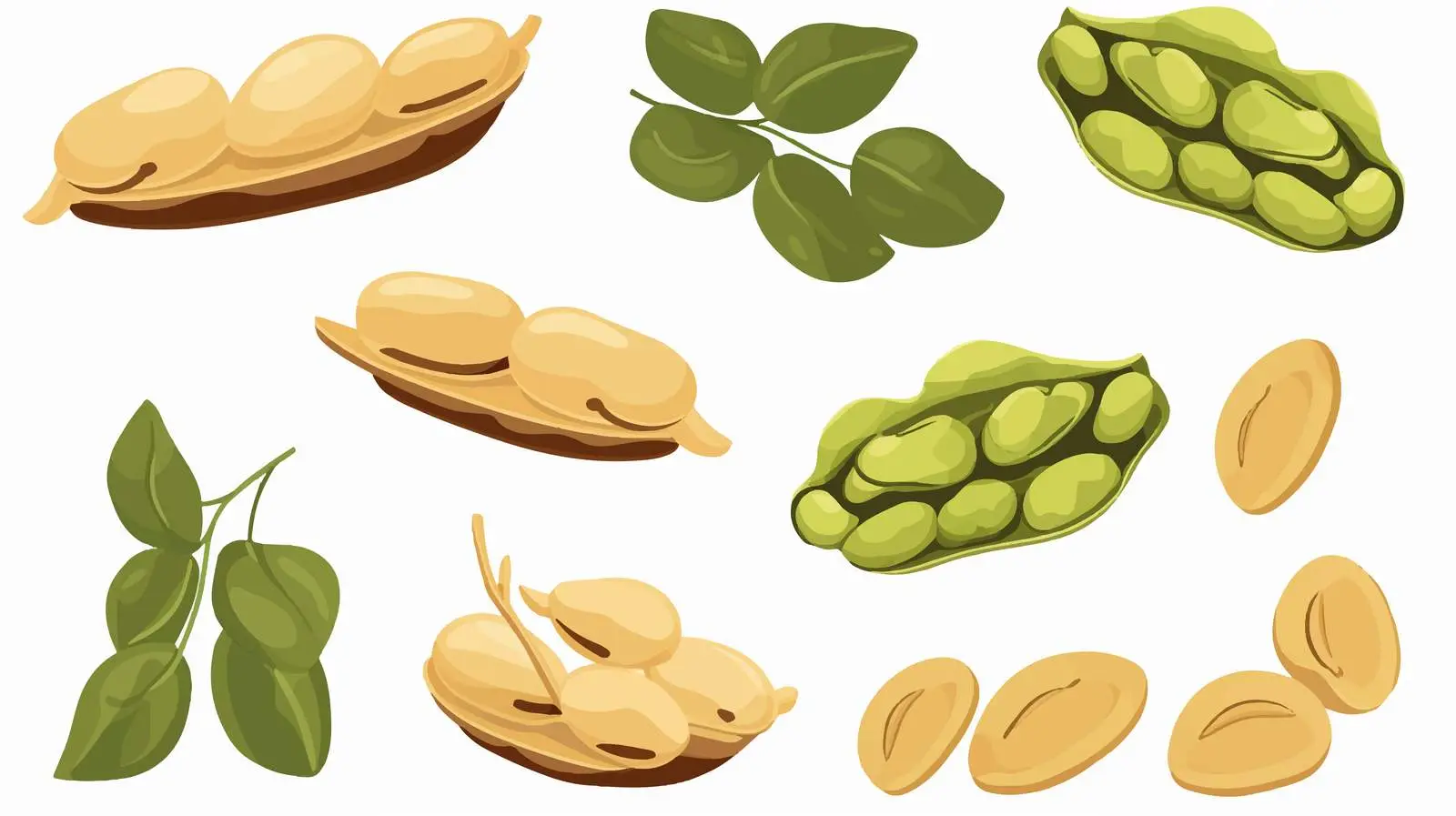 Flat Vector Illustration of Soy Beans — free download from Dotvec