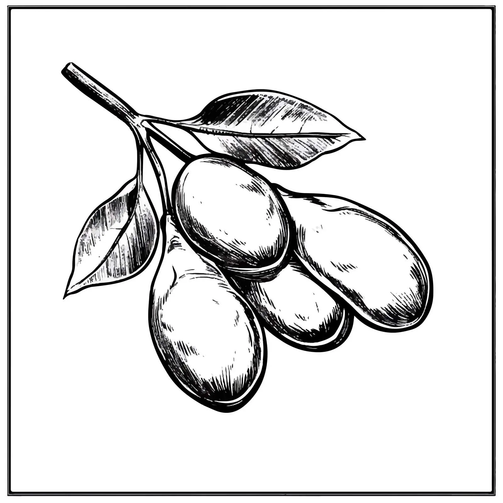 Black and White Soybean Cartoon Vector Illustration — free download from Dotvec