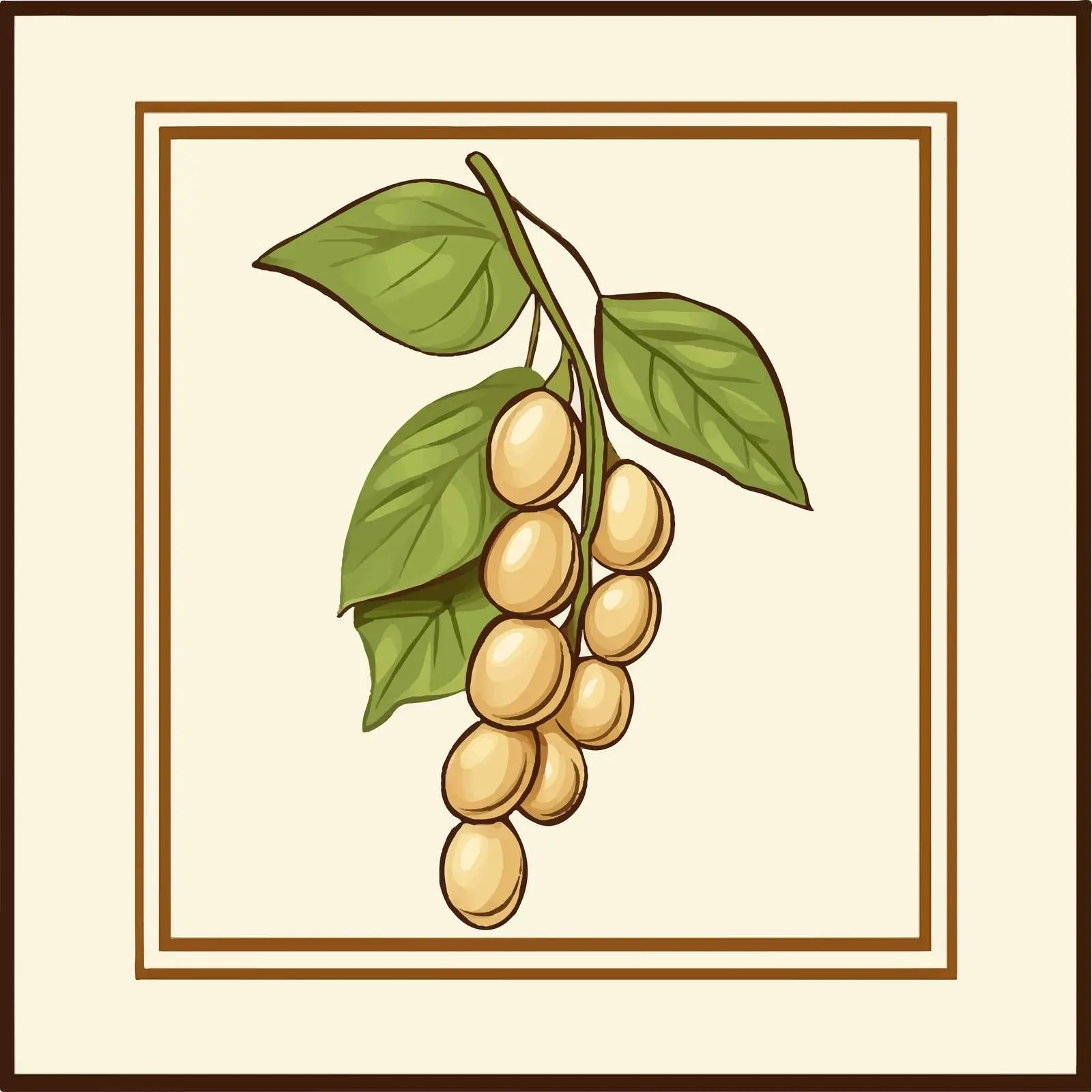 Minimalist Soybean Vector Illustration in Frame — free download from Dotvec