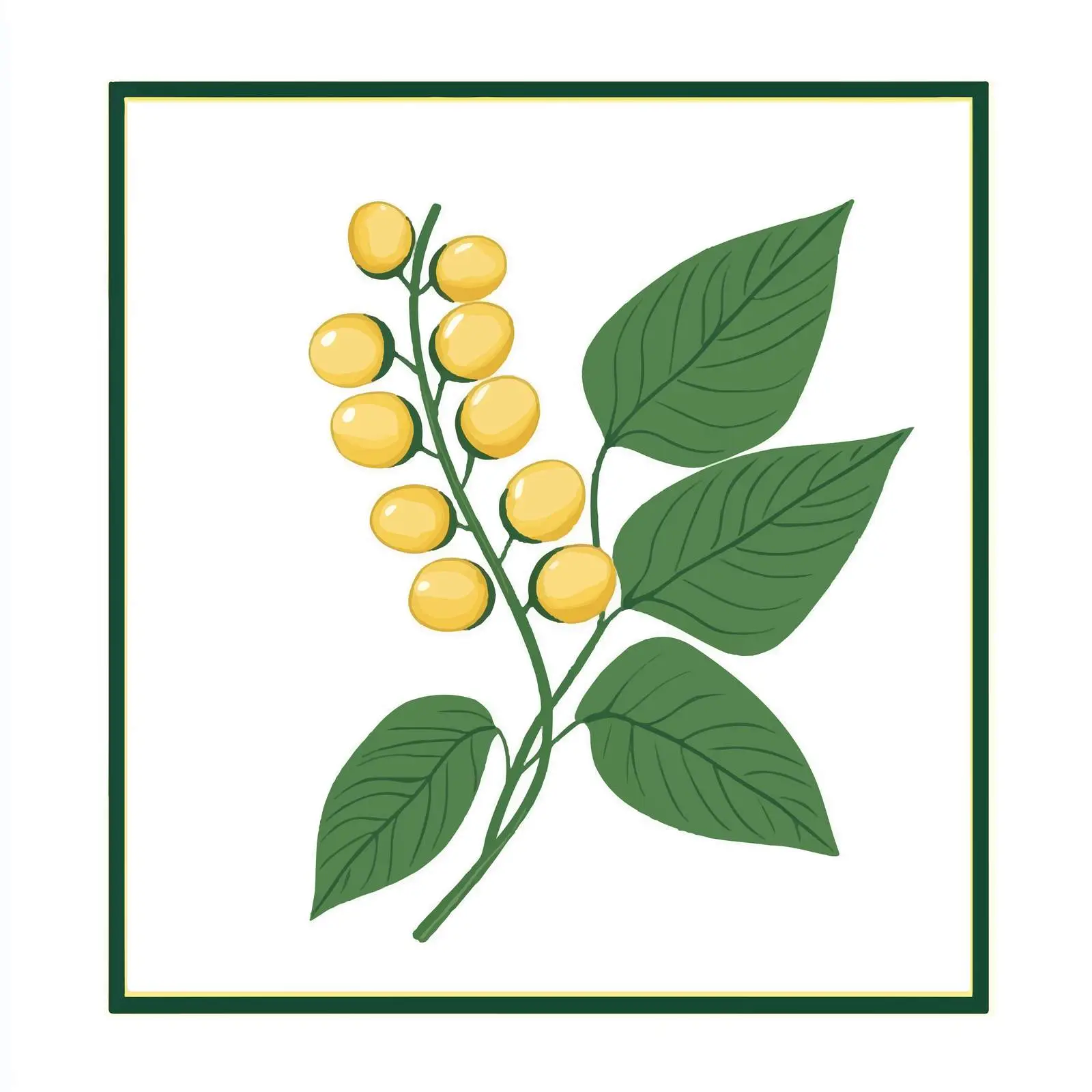 Soybean Flat Vector Illustration in Frame — free download from Dotvec