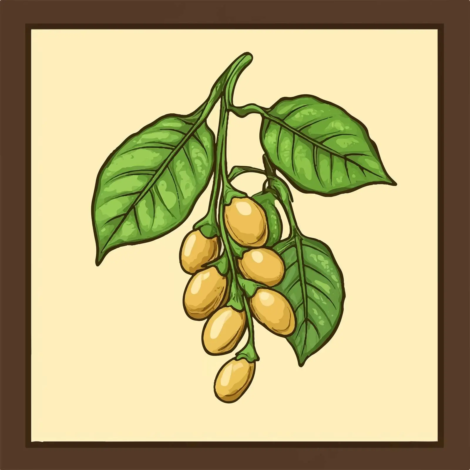 Framed Soybean Vector Illustration — free download from Dotvec