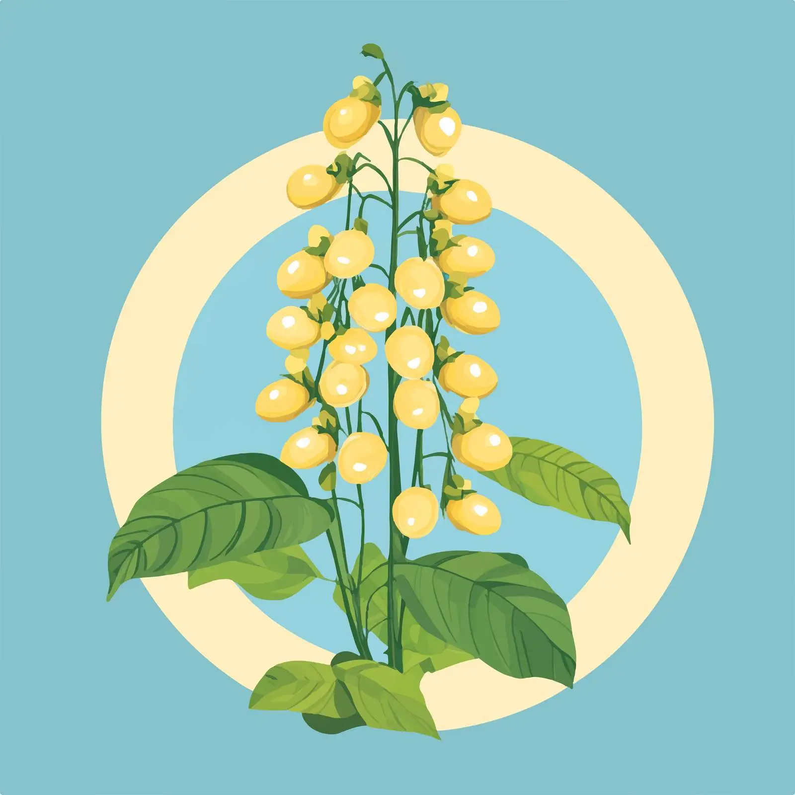 Flat Vector Soybean Illustration in Frame — free download from Dotvec