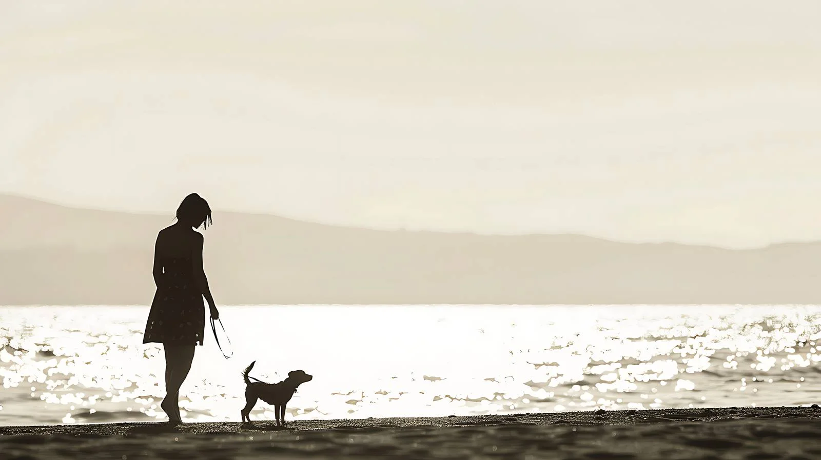 Silhouette of Woman Playing with Kite — free download from Dotvec