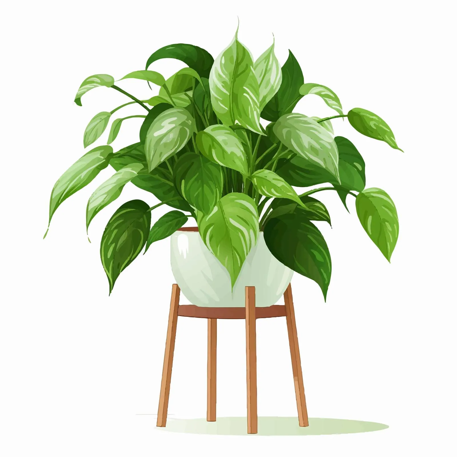 Spathiphyllum Potted Plant with Long Hanging Leaves — free download from Dotvec