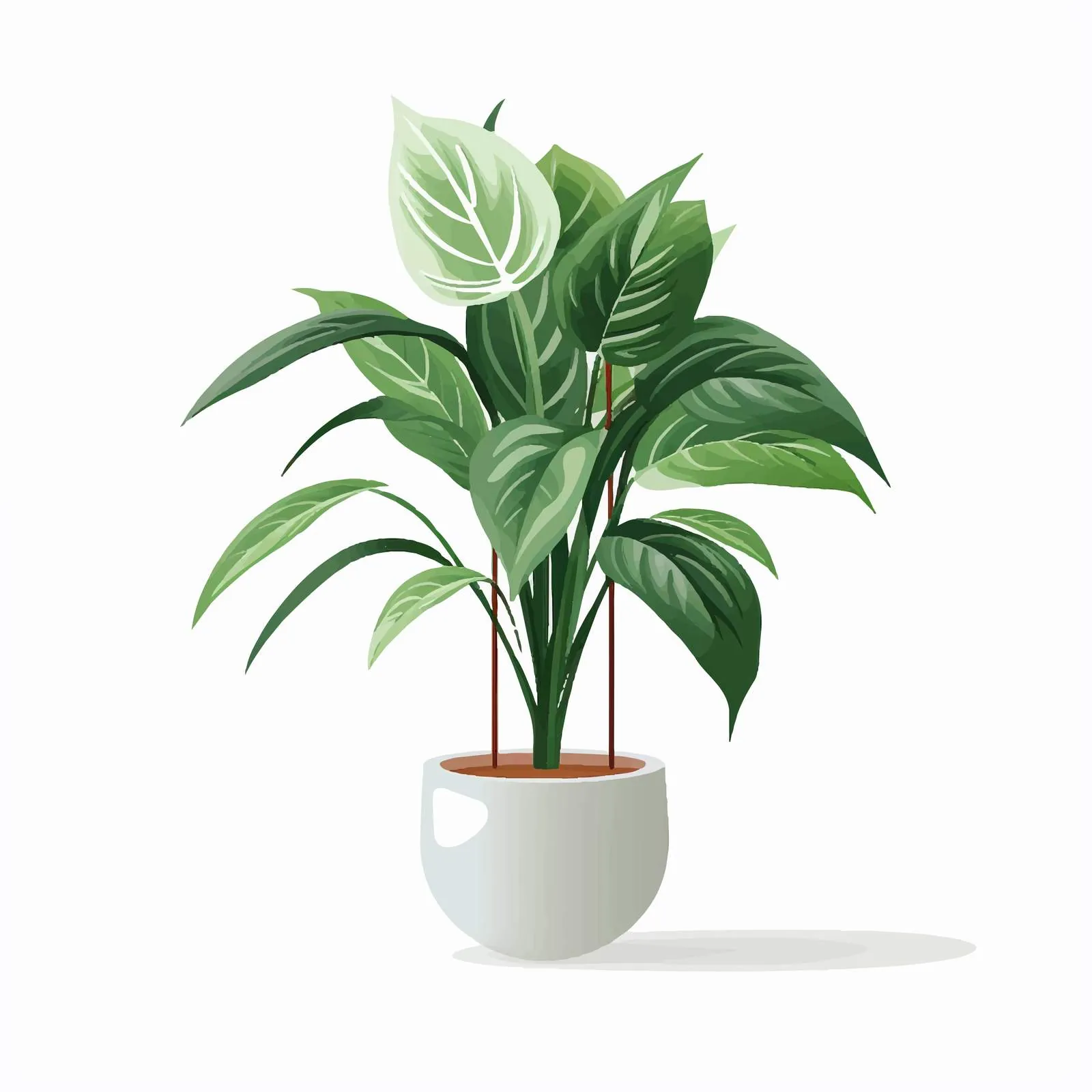 Spathiphyllum Potted House Plant with Long Leaves — free download from Dotvec