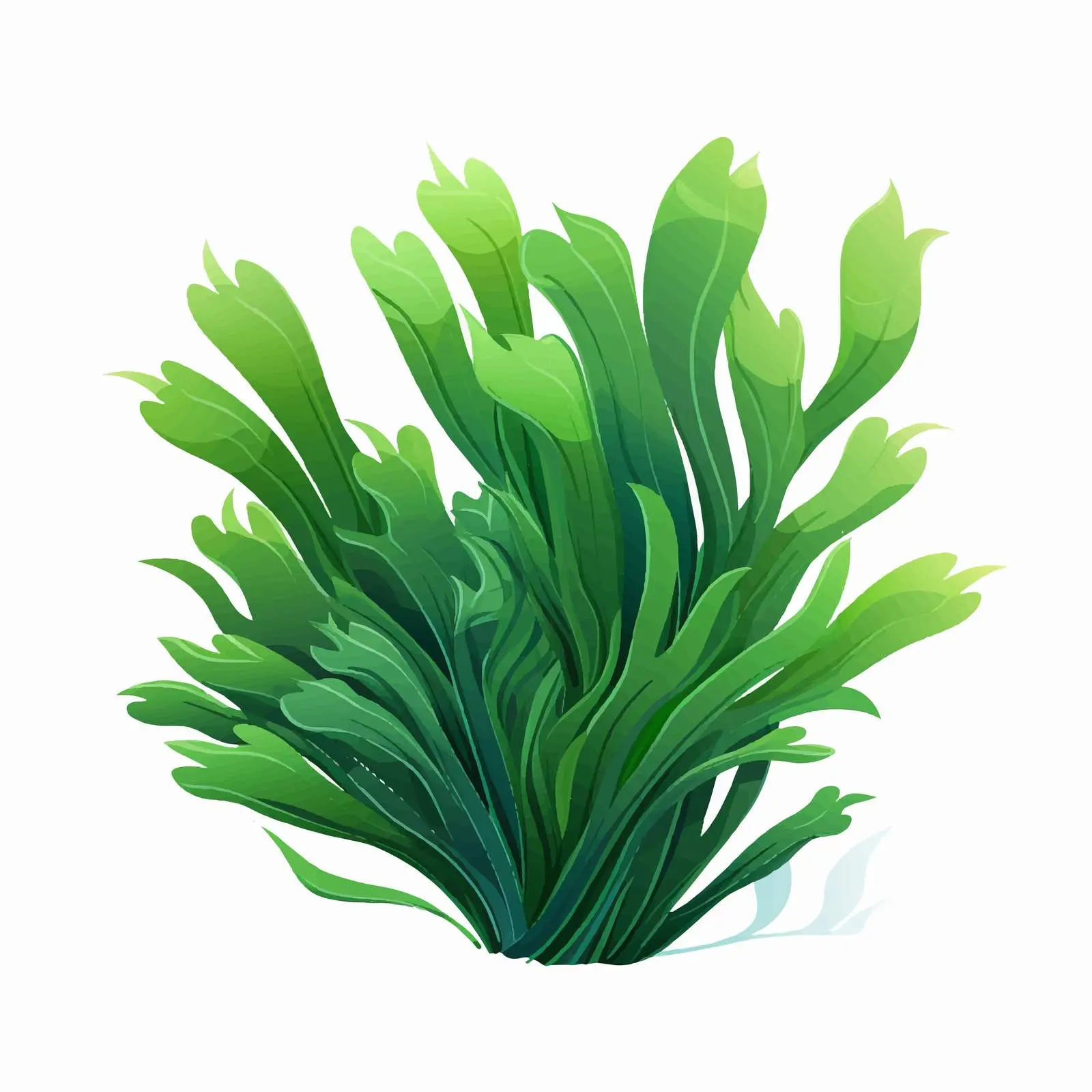Realistic Spirulina Algae Leaves Illustration – free realistic design image from Dotvec