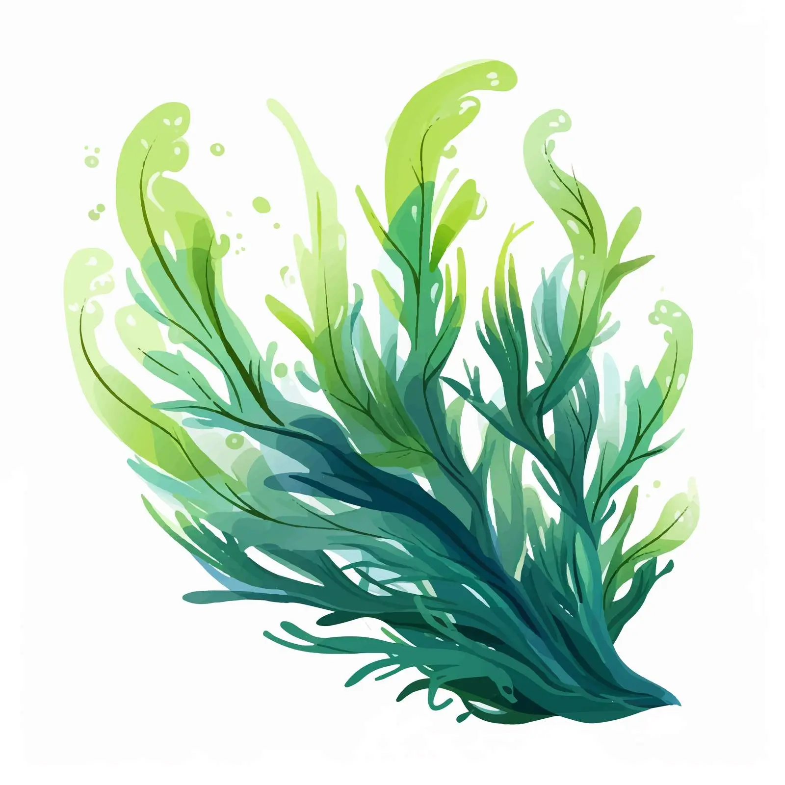 Realistic Spirulina Algae Edible Seaweed Vector — free download from Dotvec