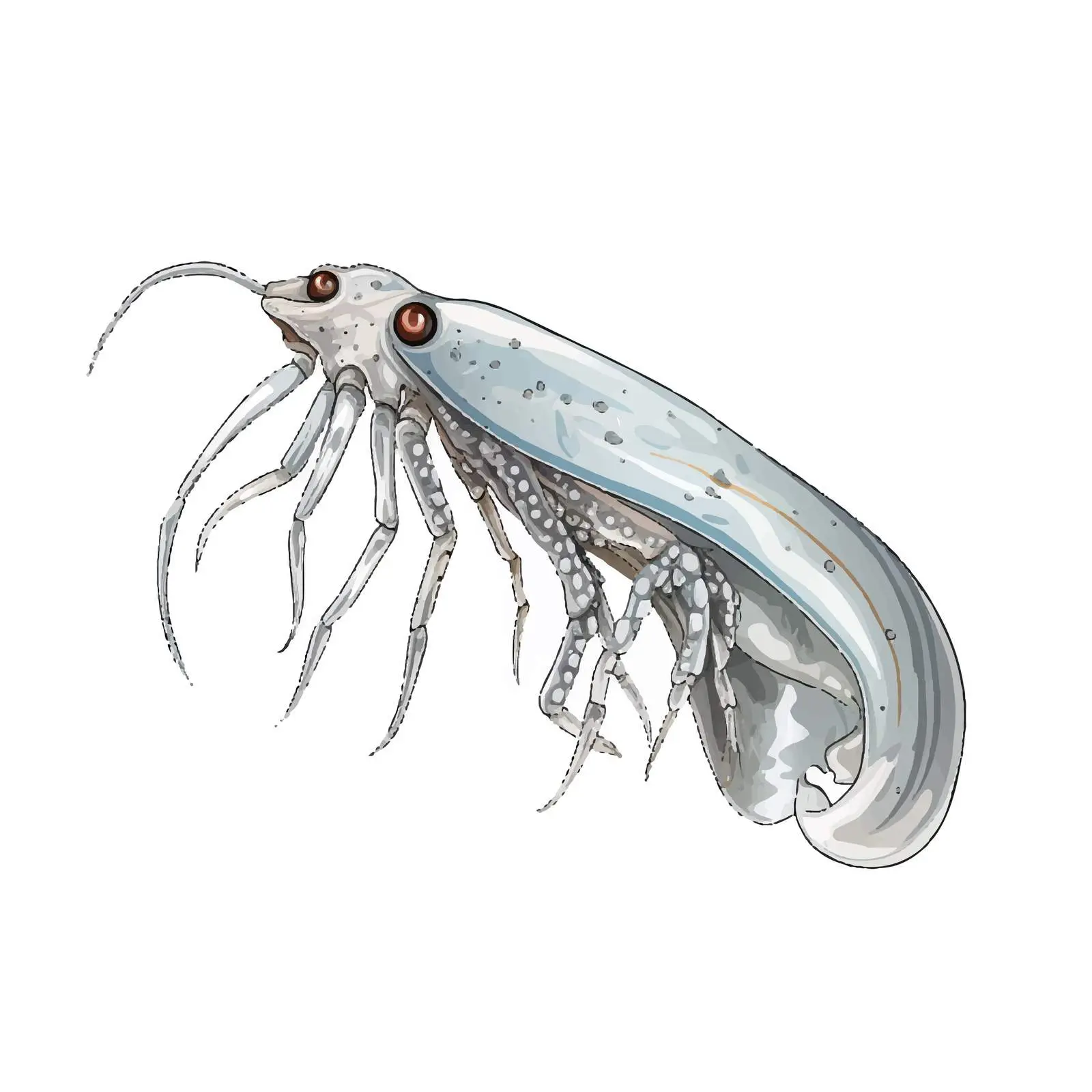 Squid Cartoon Vector Illustration Sketch — free download from Dotvec