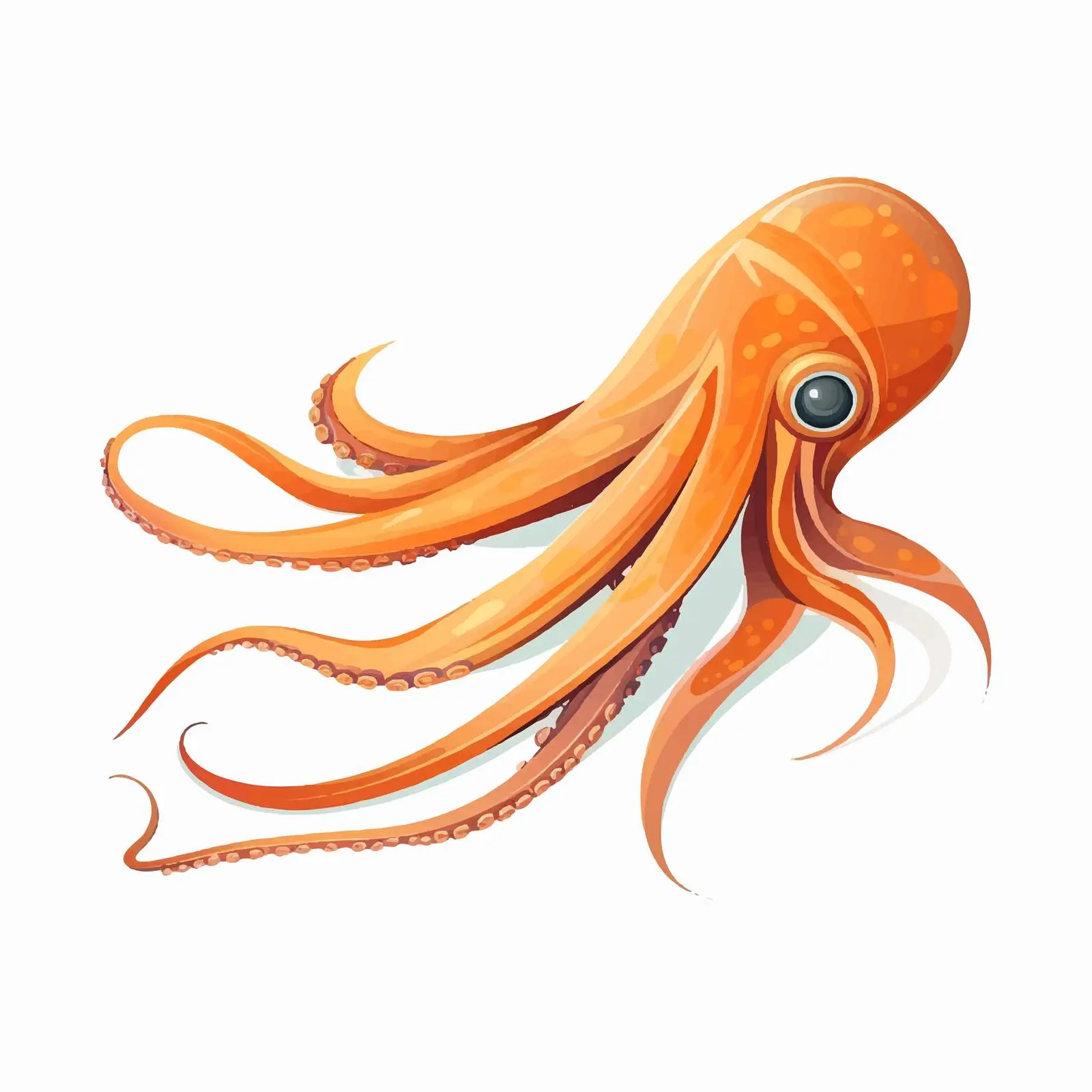 Cartoon Squid Vector Illustration Design — free download from Dotvec