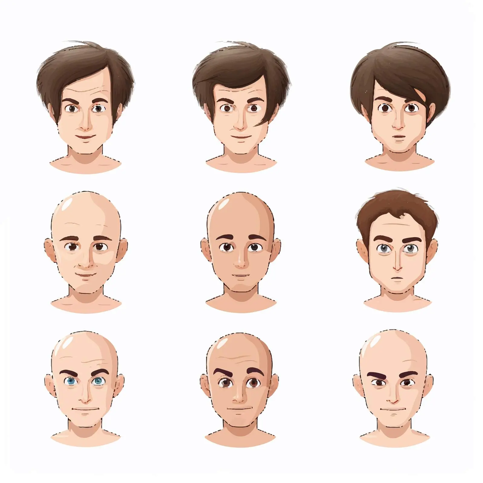 Stages of Male Hair Loss Illustrated Vector — free download from Dotvec