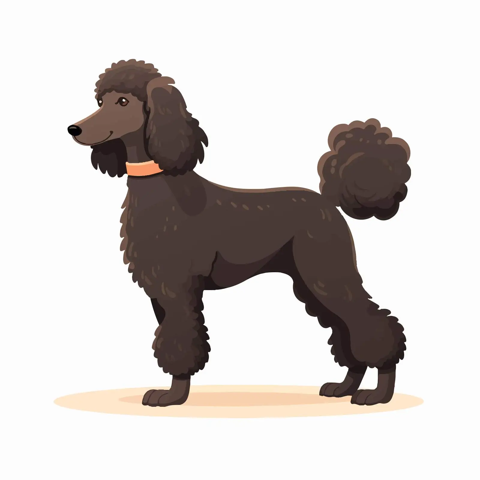 Standard Poodle Isolated Image for Hunting Breeds — free download from Dotvec