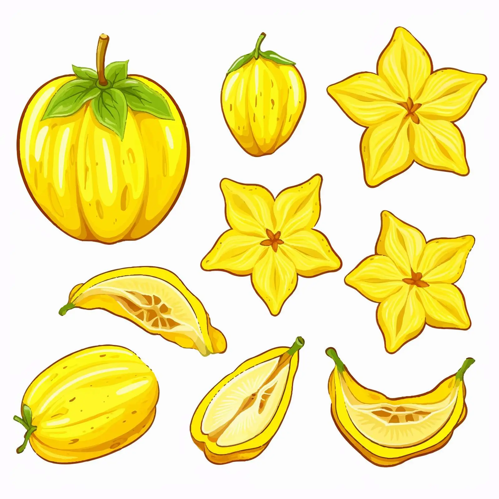 Star Fruit Line Vector Illustration — free download from Dotvec