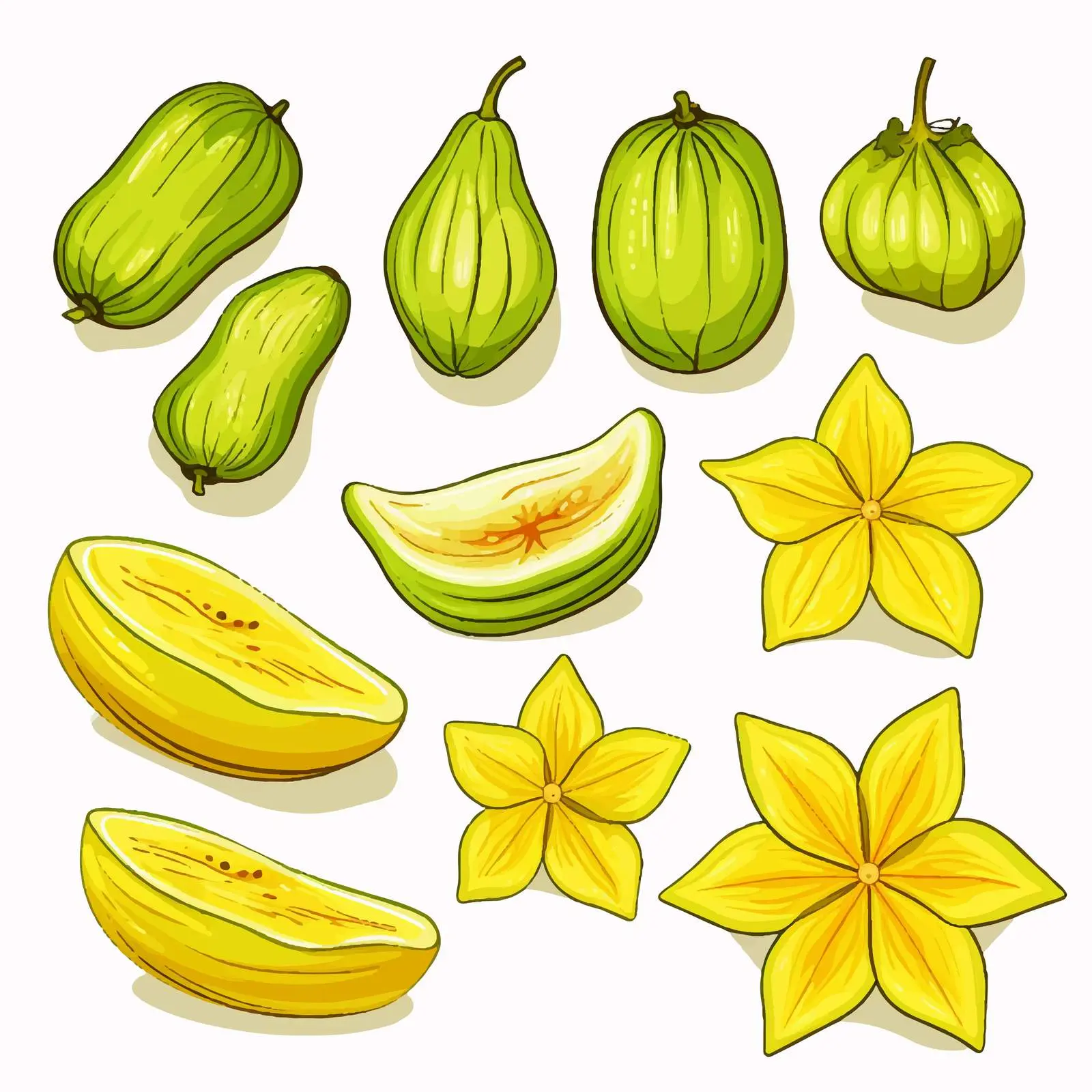 Star Fruit Line Vector Illustration on White Background — free download from Dotvec