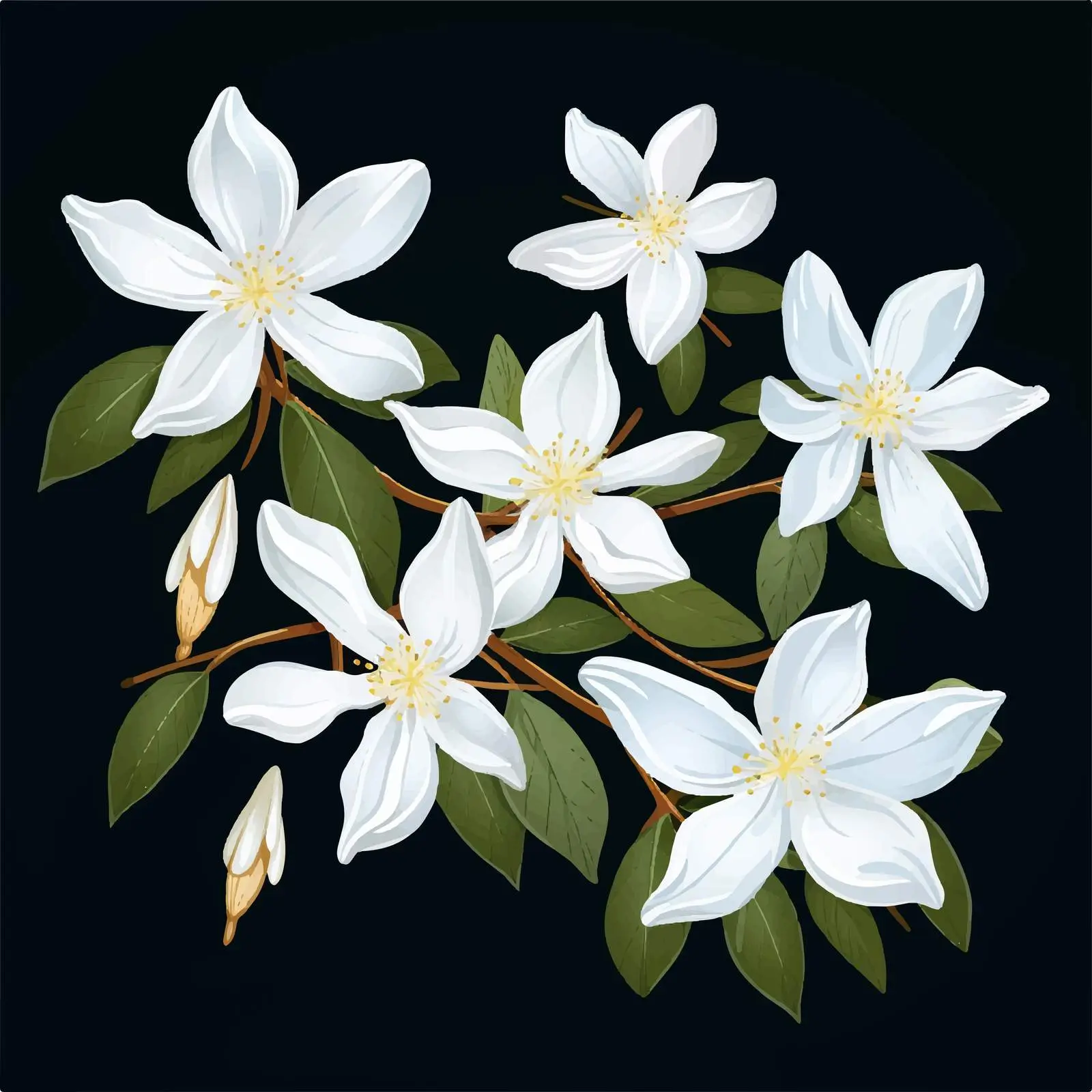 Star-shaped White Jasmine Blossom with Eight Petals — free download from Dotvec