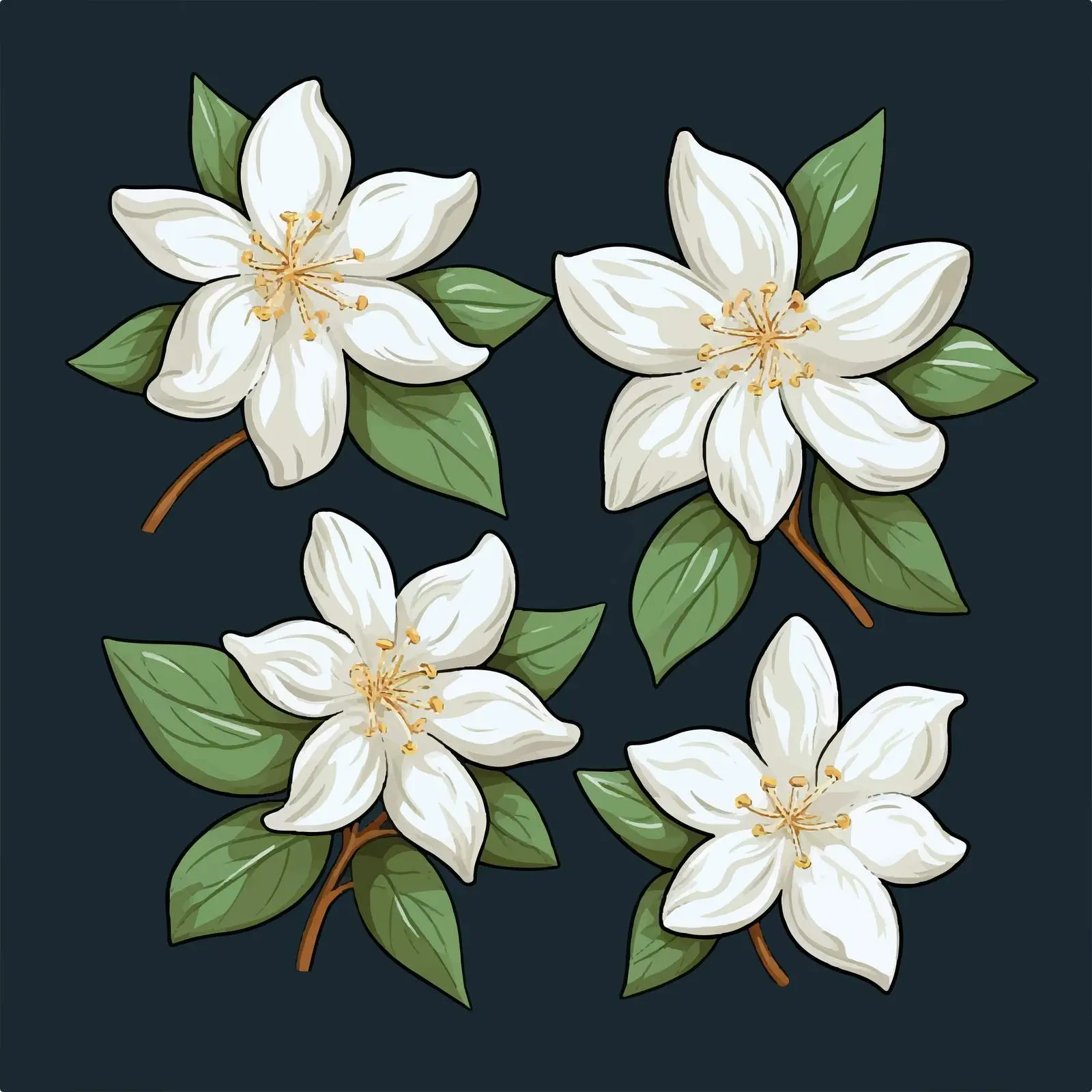 Star-shaped Jasmine Flowers with Eight Petals — free download from Dotvec