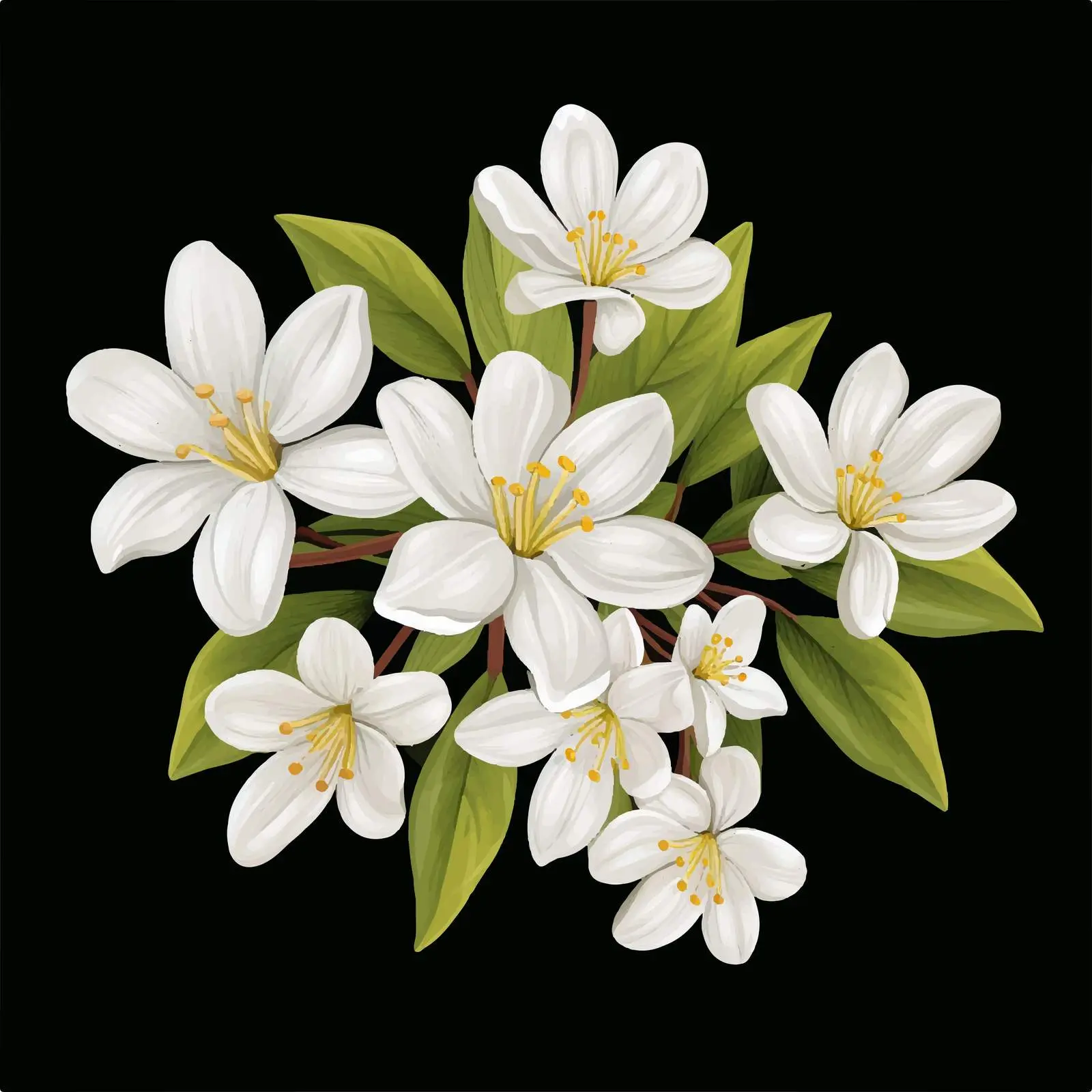 Star-Shaped White Jasmine Flowers Vector Design — free download from Dotvec