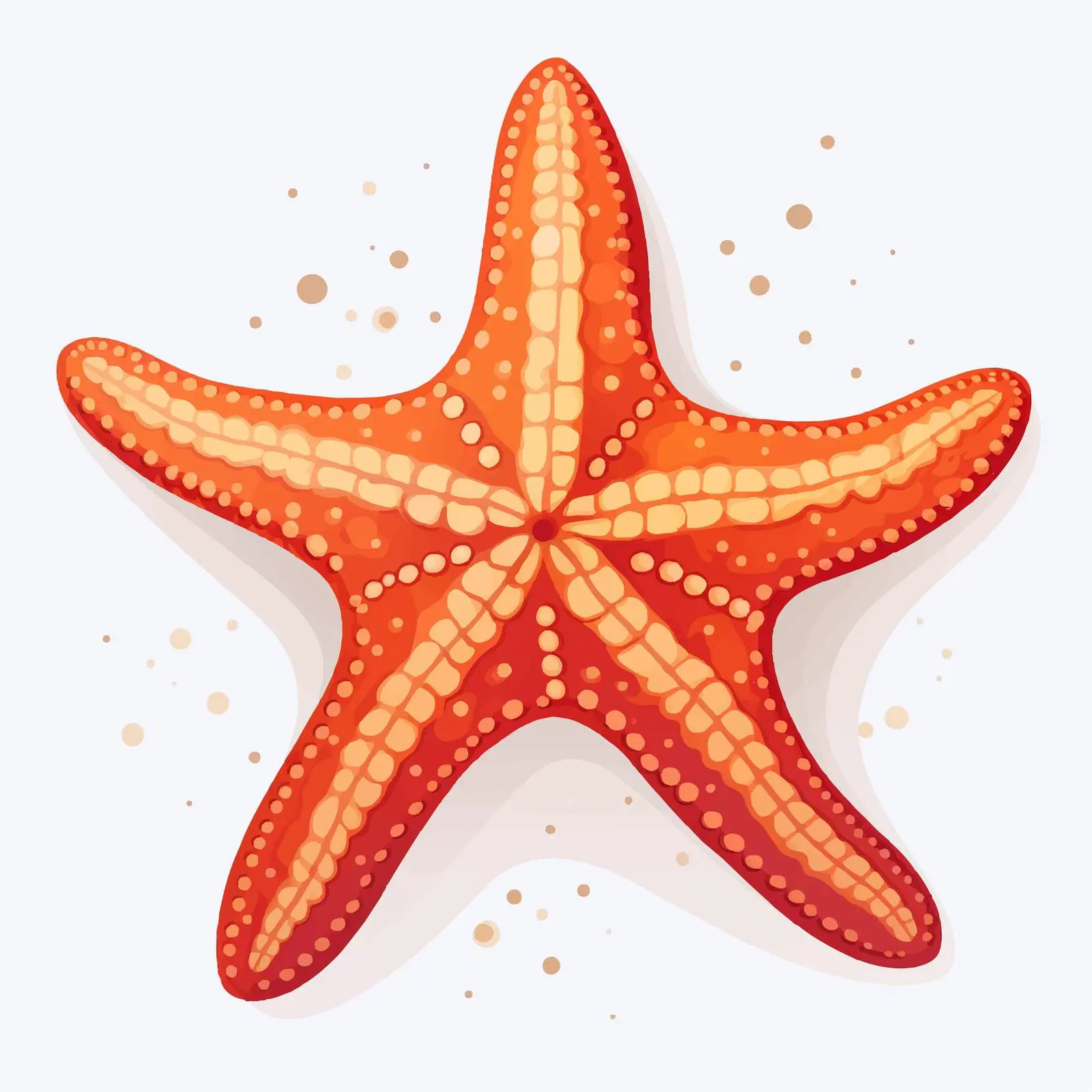 Starfish Vector Illustration on White Background — free download from Dotvec
