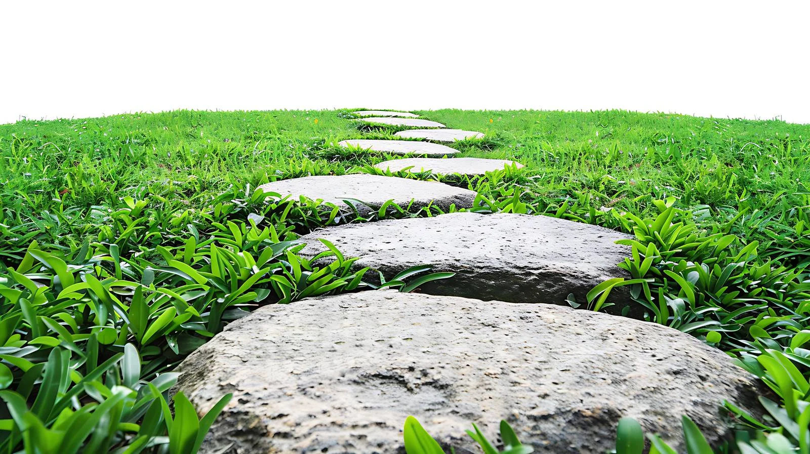 Tranquil Stone Path Amid Lush Greenery — free download from Dotvec