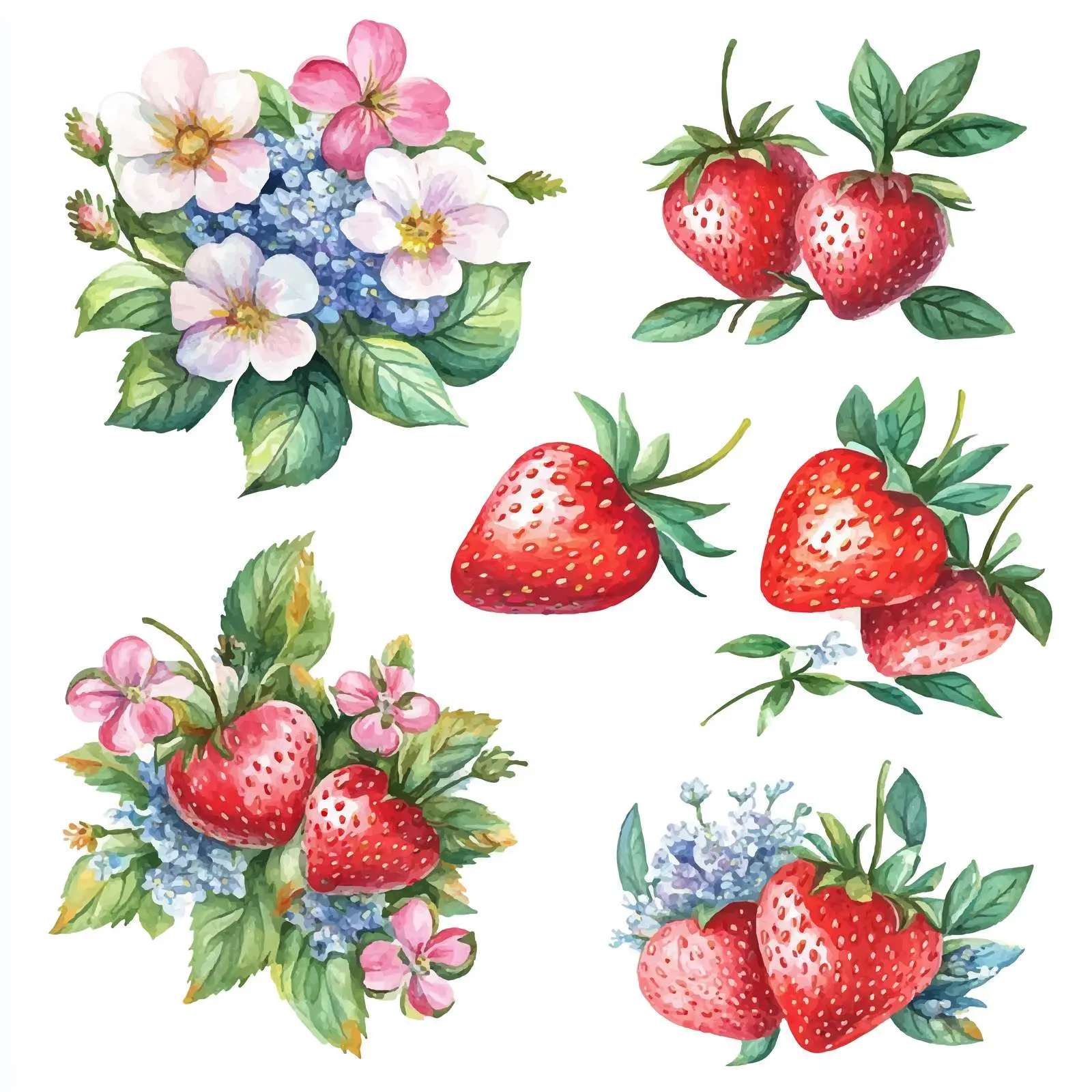 Strawberry Bouquets with Flowers and Leaves Vectors — free download from Dotvec