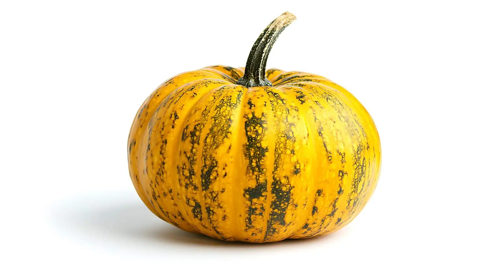Ornamental Pumpkin on White Background — free download from Dotvec