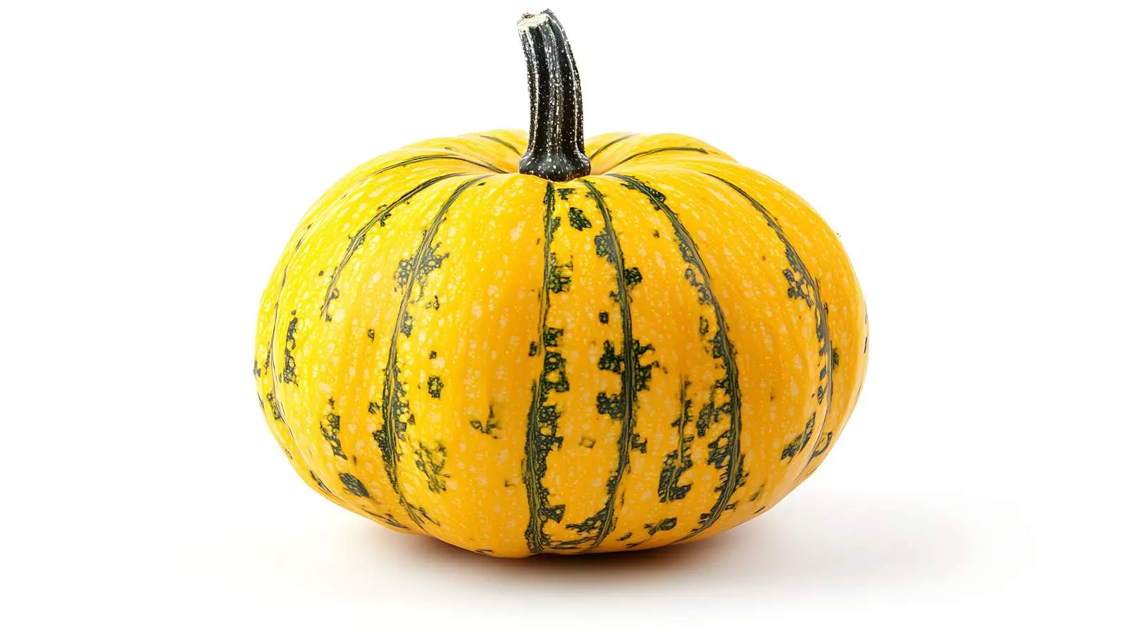 Ornamental Pumpkin on White Background — free download from Dotvec