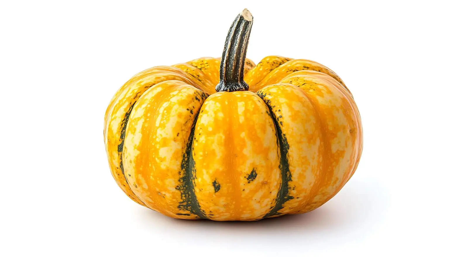 Professional Ornamental Pumpkin on White Background — free download from Dotvec