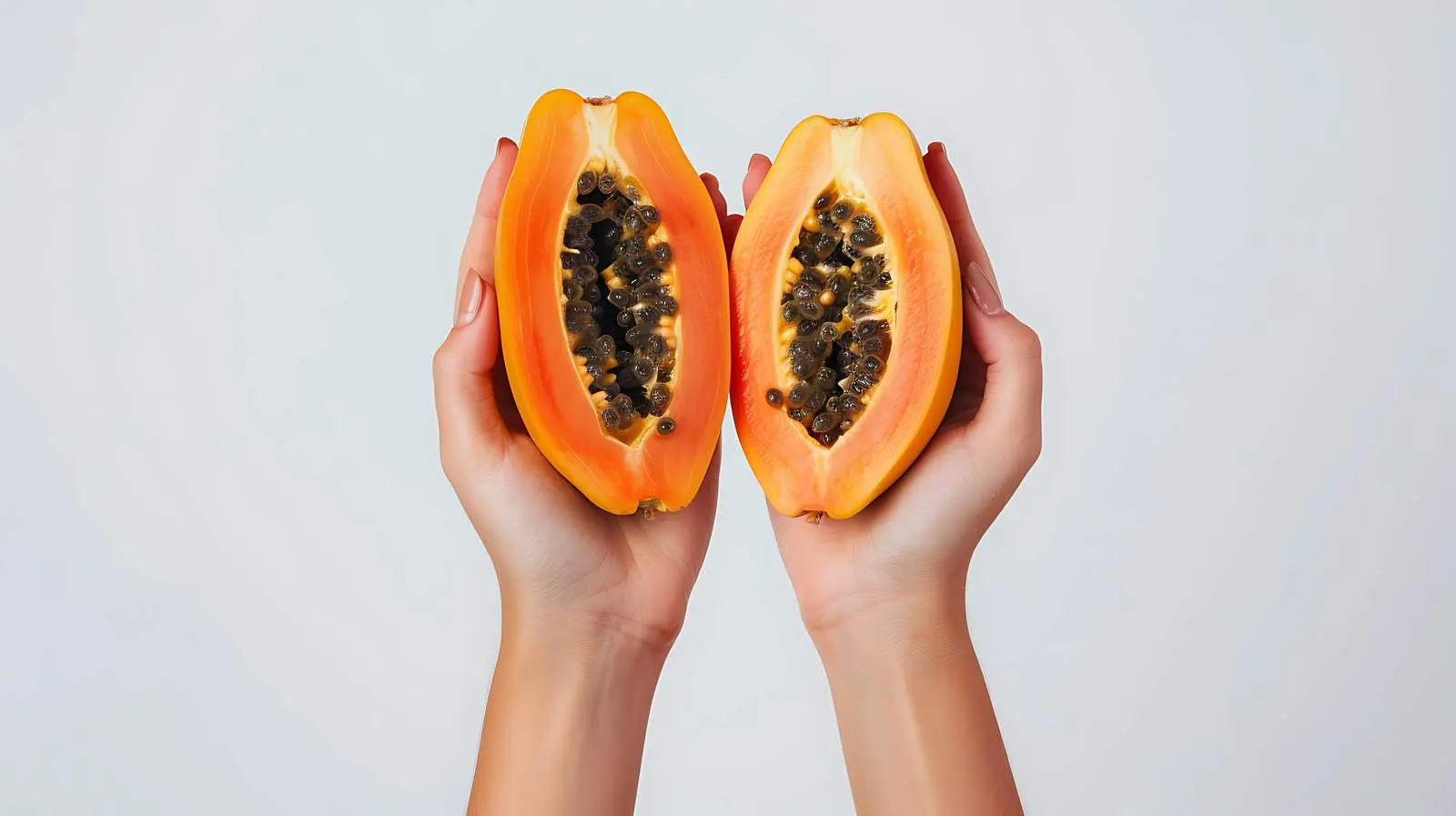 Exotic Summer Travel Concept with Young Woman's Hand — free download from Dotvec