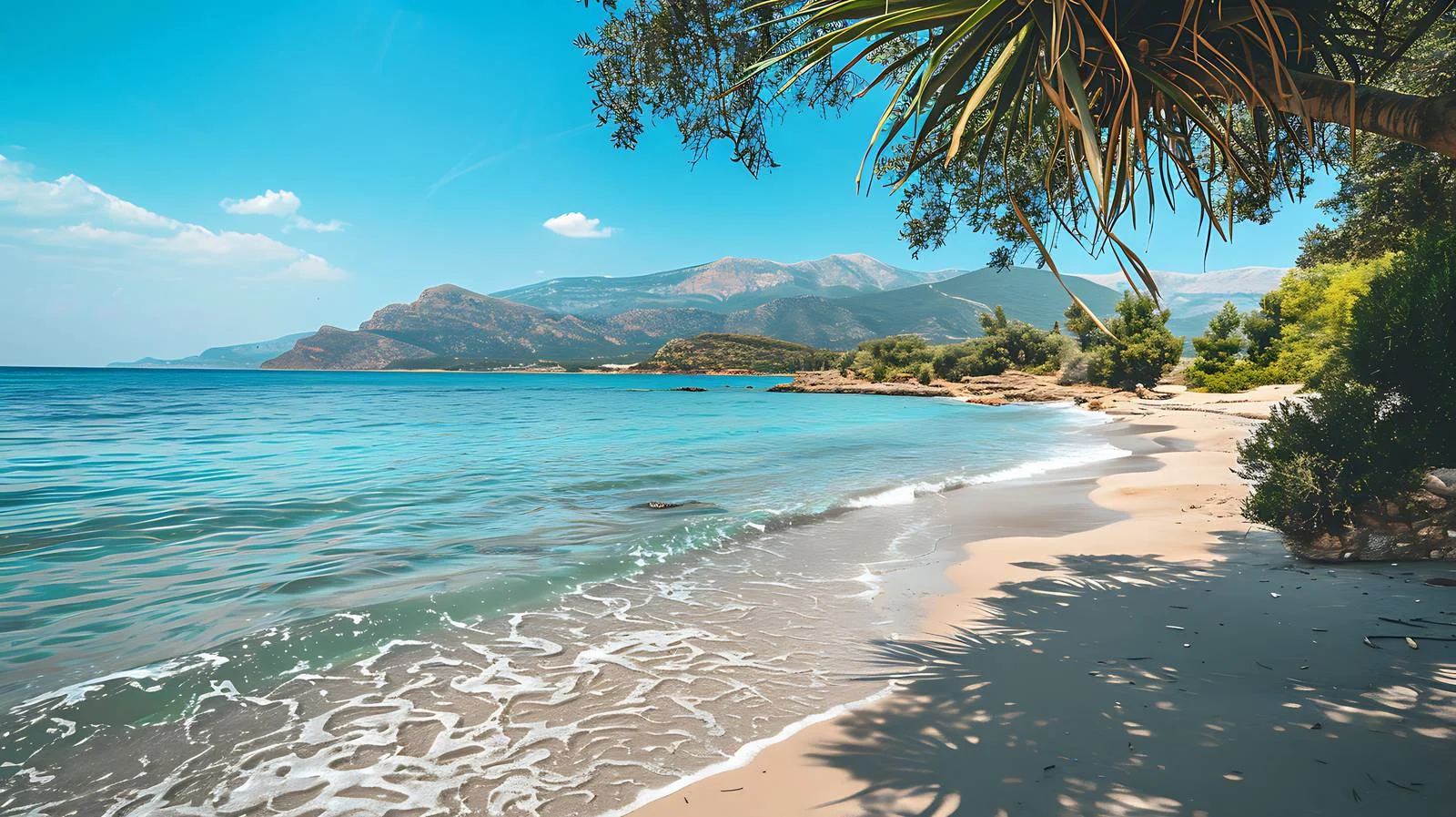 Tropical Beach Holiday Background — free download from Dotvec