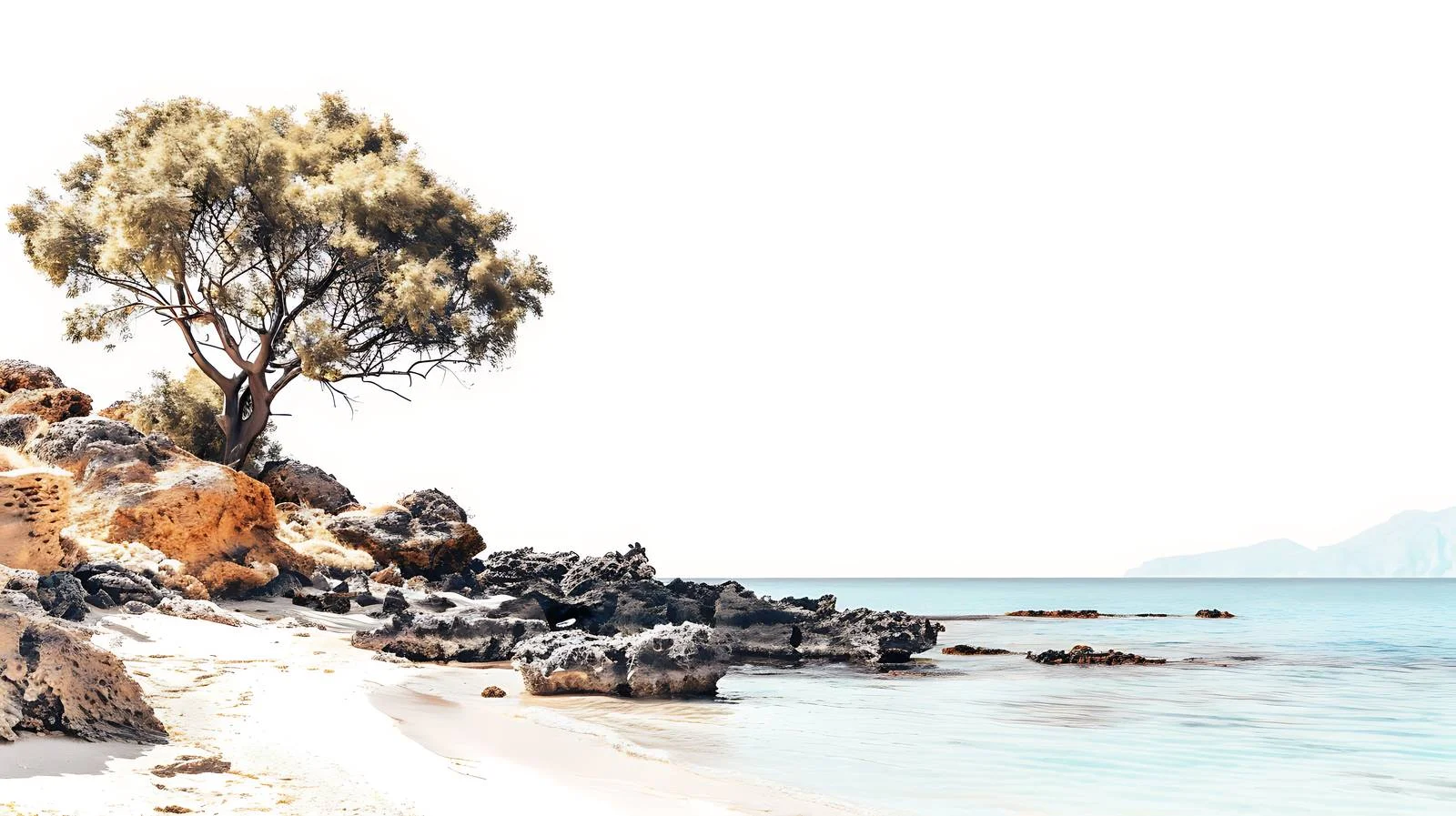 Tropical Beach Summer Background Elafonisi — free download from Dotvec