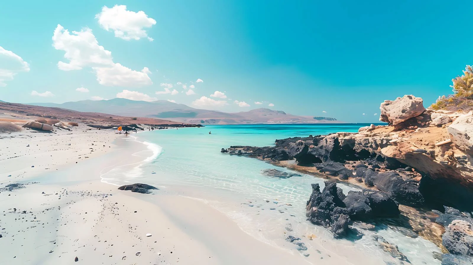 Tropical Beach Summer Background — free download from Dotvec