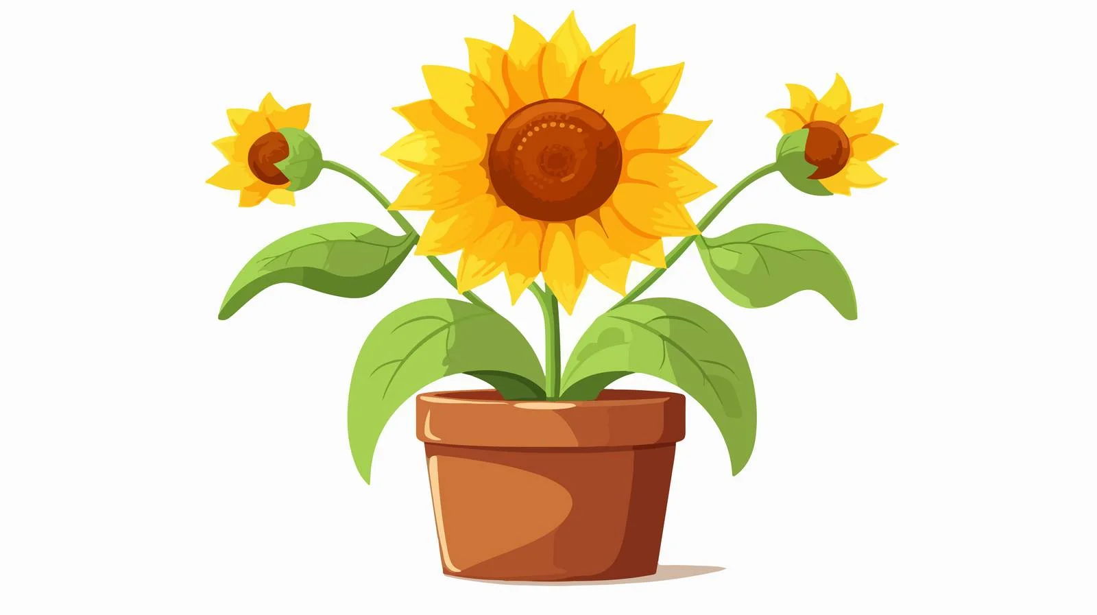 Sunflower in Pot, High-Quality Image — free download from Dotvec