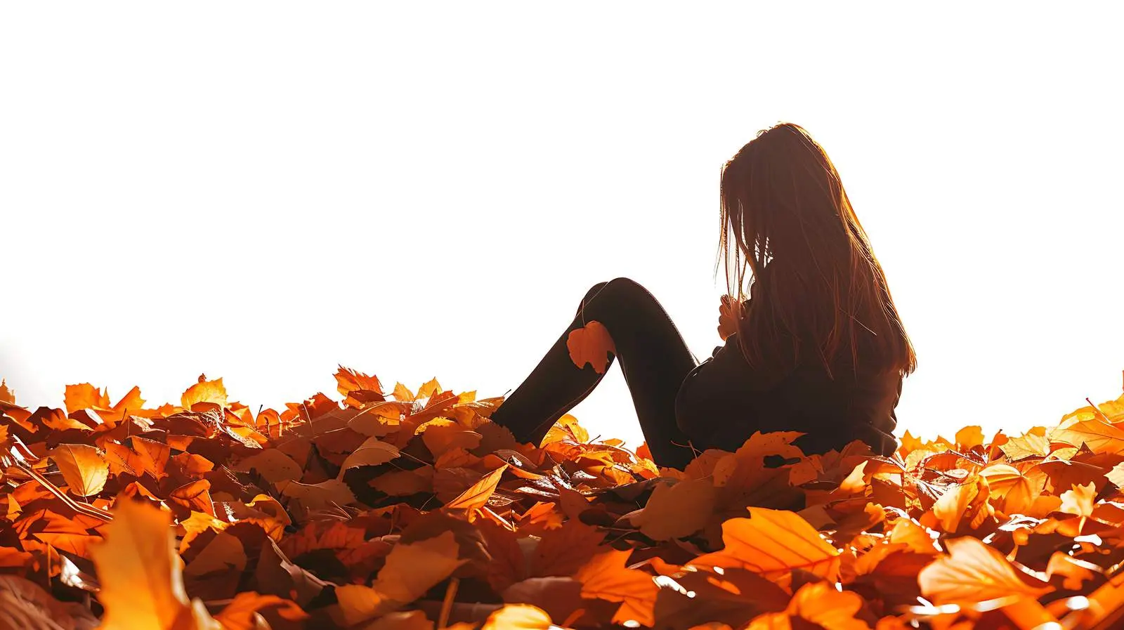 Woman Silhouette in Sunlight on Fallen Leaves — free download from Dotvec