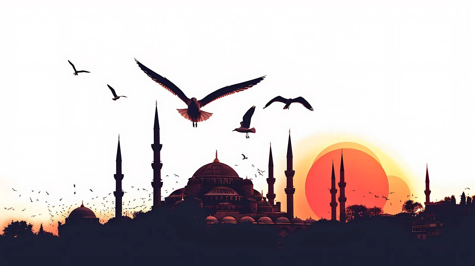 Hagia Sophia Mosque Sunset Seagulls View — free download from Dotvec