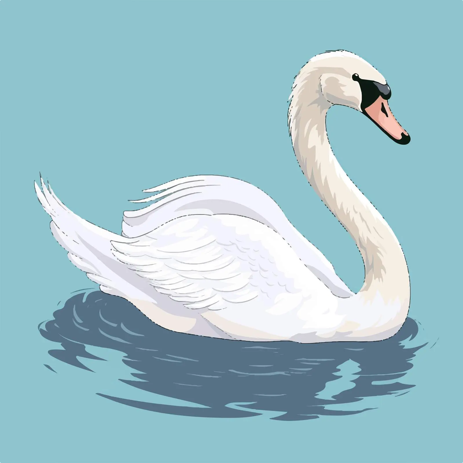 Swan Vector Illustration Top View on White Background — free download from Dotvec