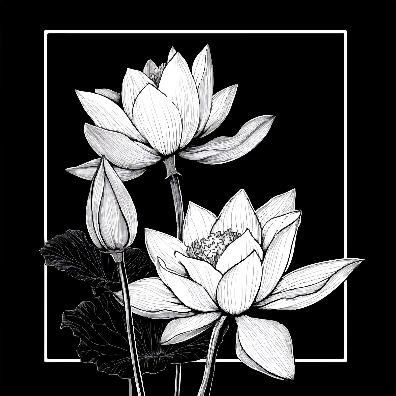 Elegant Waterlily Flower T-Shirt Design — free download from Dotvec