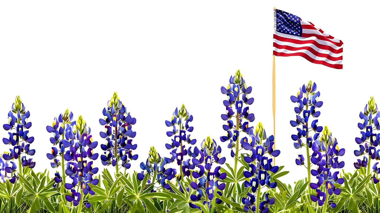 Texas Flag with Bluebonnets in Springtime — free download from Dotvec