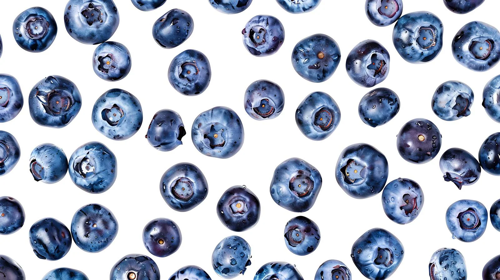 Blueberry Background Texture — free download from Dotvec