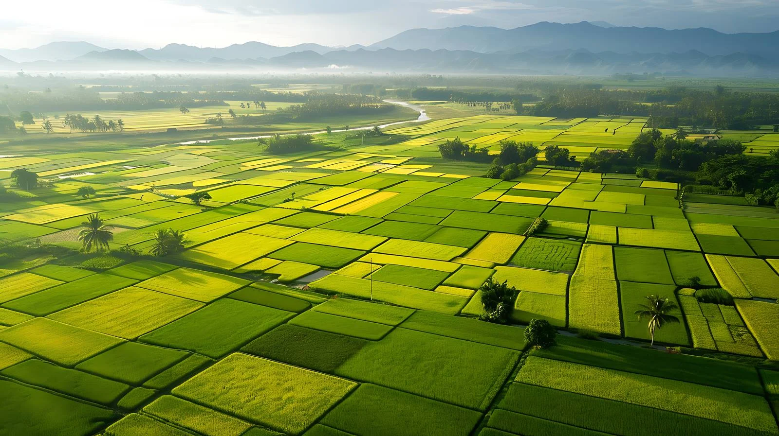 Scenic Fall Landscape from Above — free download from Dotvec