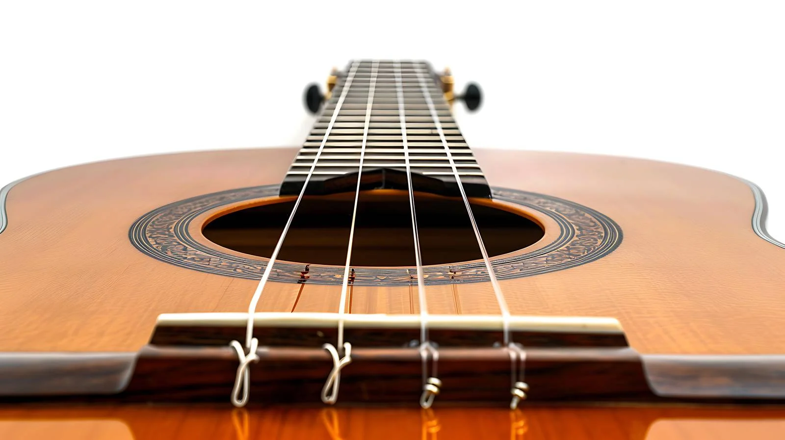Exploring the Acoustic Guitar's Connectivity — free download from Dotvec