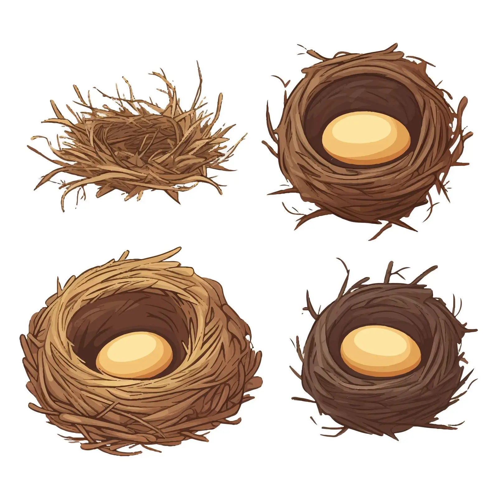 Illustration of Three Bird Nest Types – free outdoor design image from Dotvec