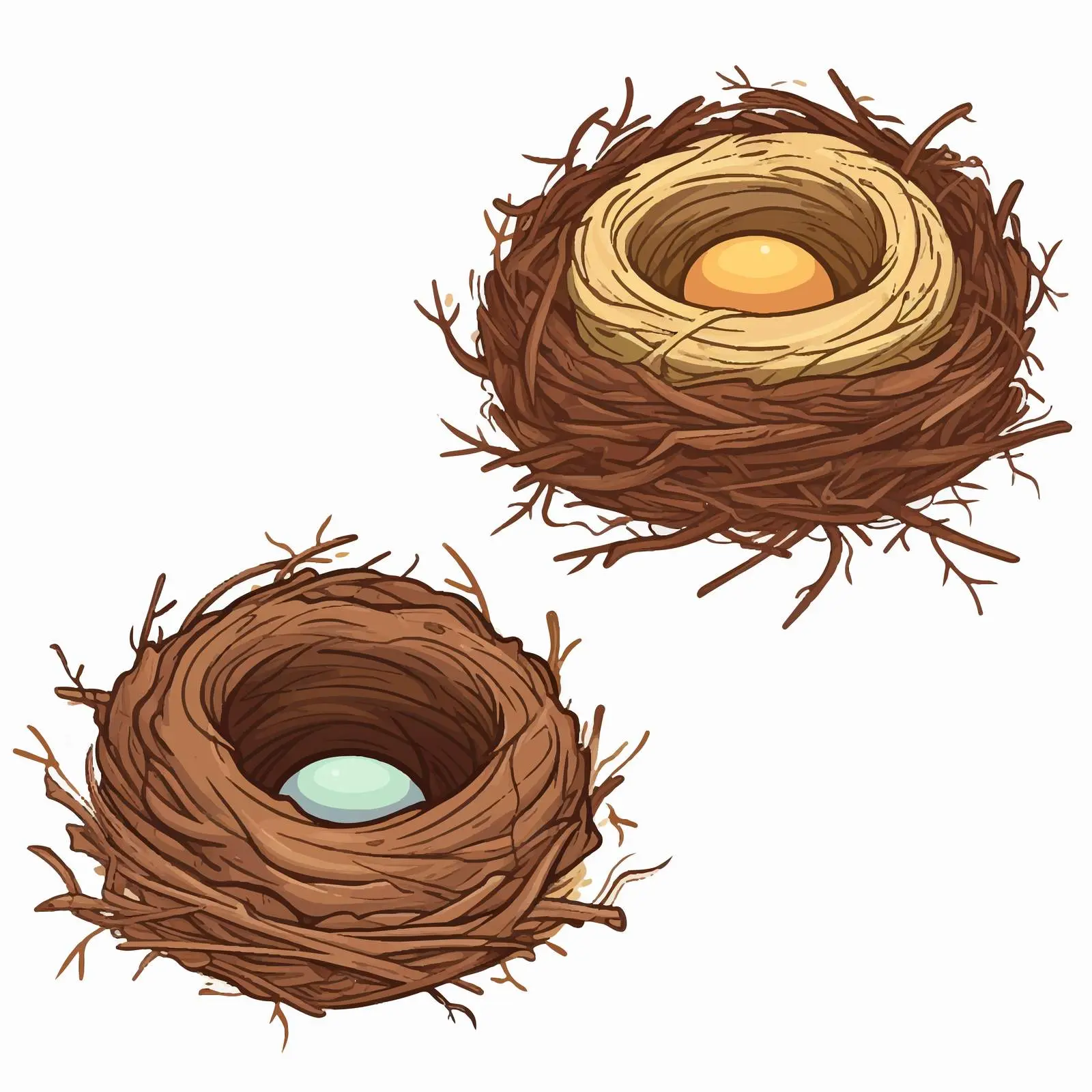 Types of Bird Nests Illustration Vector — free download from Dotvec