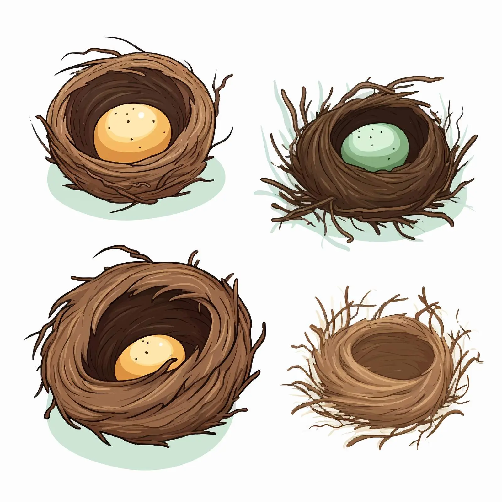 Three Types of Bird Nests Illustration Vector — free download from Dotvec