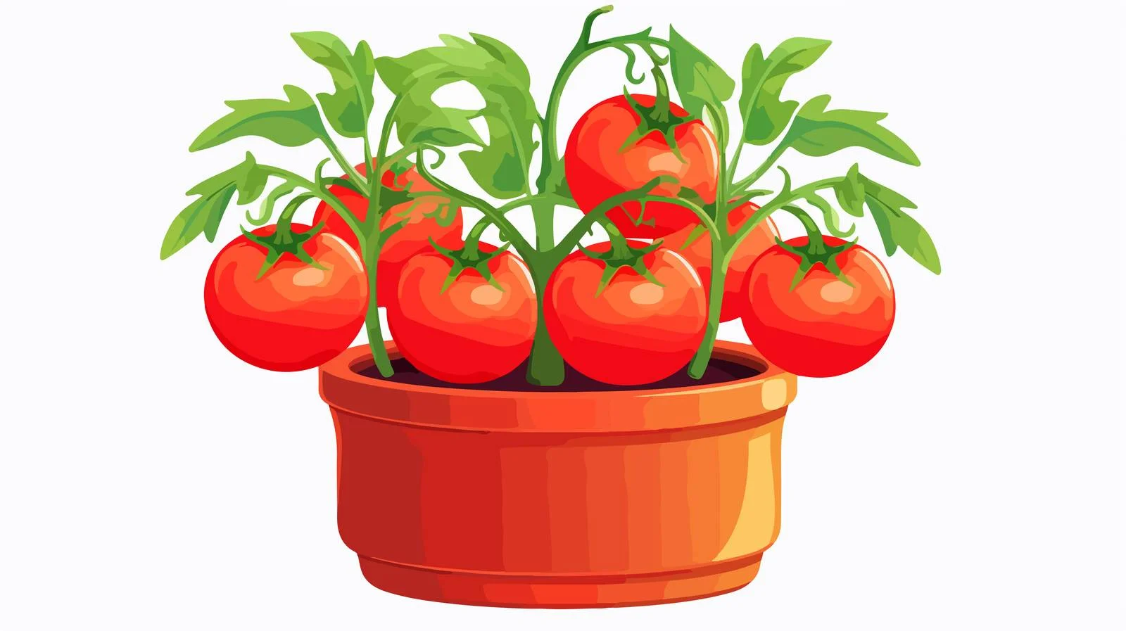 Premium Tomato Plant Pot — free download from Dotvec