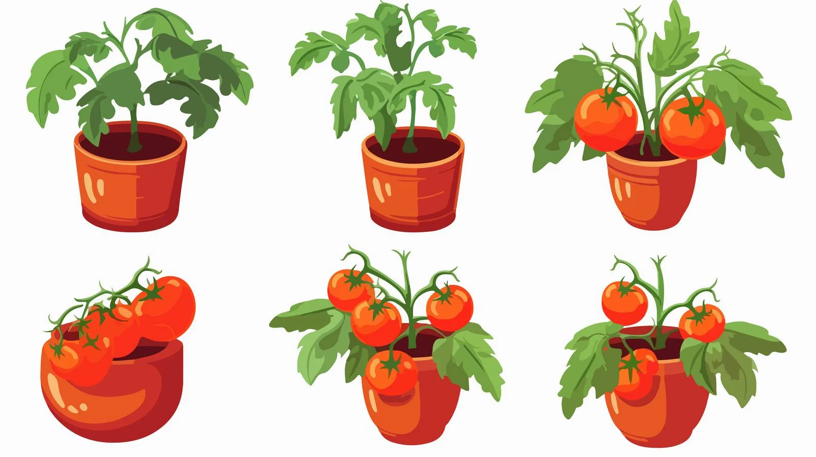 Premium Tomato Plant Pot — free download from Dotvec