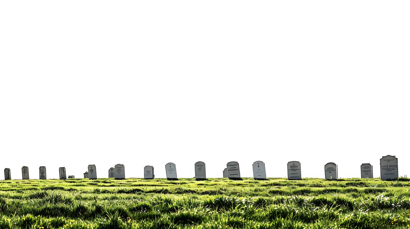 Honoring Fallen Heroes at Arlington National Cemetery – free fallen image from Dotvec